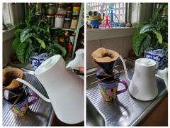 Alternative Brewing Fellow Stagg EKG Electric Kettle Review