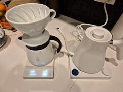 Alternative Brewing Fellow Stagg EKG Electric Kettle Review