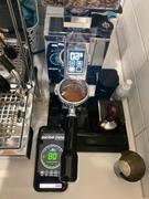 Alternative Brewing Eureka Mignon XL 65E Coffee Grinder Review