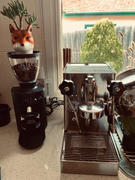 Alternative Brewing Mahlkonig X54 Allround Coffee Grinder Review