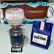 Alternative Brewing Hario V60 Drip-Assist Review