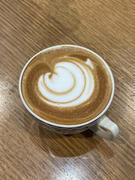 Alternative Brewing ECM Casa V Coffee Machine Review