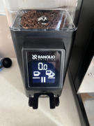 Alternative Brewing Rancilio Stile Coffee Grinder Review