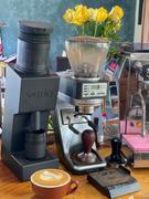 Alternative Brewing Varia VS6 Coffee Grinder Review