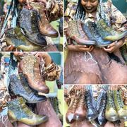 Spring Step Shoes L'ARTISTE AVYANNA BOOTS Review