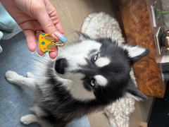 TRILL PAWS  Crown Tag Review