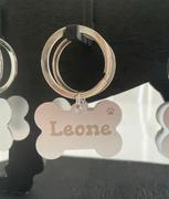 Collar Dog  Review