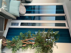 PetDoors.com Endura Flap Vinyl Sliding Glass Dog Door Review