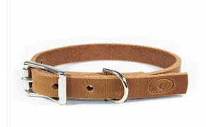 sleepy pup Small Dog 3/4 Full Grain Leather Dog Collar Review