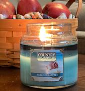 Kringle Candle Company Paradise Breeze | Wax Melt Review