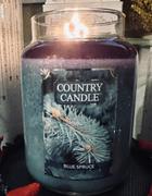 Kringle Candle Company Blue Spruce Large 2-wick Review