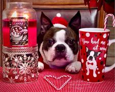 Kringle Candle Company Peppermint & Cocoa Large 2-wick Review