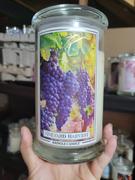 Kringle Candle Company Vineyard Harvest Large 2-wick Review