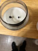 Kringle Candle Company First Fallen Snow Medium 2-wick Review