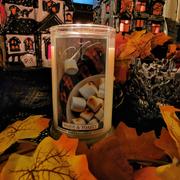 Kringle Candle Company Warm & Toasty Large 2-Wick Review