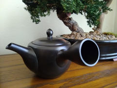 MUSUBI KILN Syunju Weeping Sakura Tokoname Japanese Teapot 12.8oz(380ml)-Sasame and Ceramesh Review