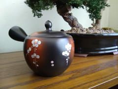 MUSUBI KILN Syunju Weeping Sakura Tokoname Japanese Teapot 12.8oz(380ml)-Sasame and Ceramesh Review