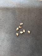 Kim'C Market Golden Queen III [100% Korean Rice; Freshly Milled in New York] Review