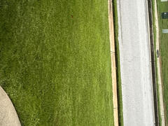 Lawnbright Pre-Emergent Weed Control Review