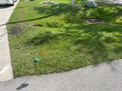 The Andersons Home and Garden Lawnbox® Grass Genie® Review