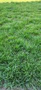 The Andersons Home and Garden Lawnbox® Fall Fix™ Review
