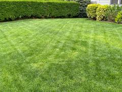 The Andersons Home and Garden The Andersons Lawn Program Review