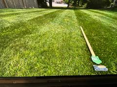 The Andersons Home and Garden The Andersons Lawn Program Review
