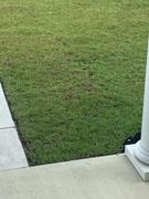 The Andersons Home and Garden Pet Safe Review