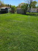 The Andersons Home and Garden Surge® Weed & Feed Review