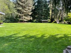 The Andersons Home and Garden Surge® Weed & Feed Review