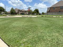 The Andersons Home and Garden Lawn Food Review