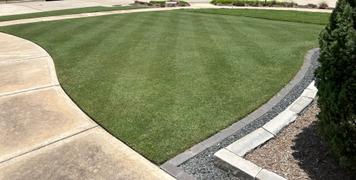 The Andersons Home and Garden Lawn Food Review
