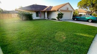 The Andersons Home and Garden Crabgrass Preventer Plus Lawn Food Review