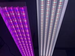 Sunco Lighting SuncoGrow Full Spectrum LED Grow Light, 4ft, 80W, Linkable Review
