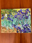 Paint Plot Australia Irises by Vincent Van Gogh Review