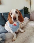 Shop Sunny Tails Pocket Teddy Indigo Denim Dog Bandana - Beige Review