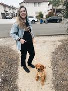 Shop Sunny Tails Ember Black Snap Dog Treat Pouch Review
