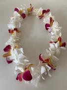 Leilanis Leis Single Orchid Trace Orchid Lei (Made to Order) Review