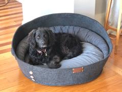 The Life of Riley The Pod Bed Review