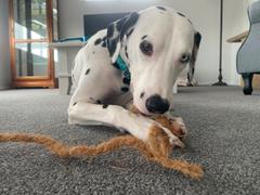 The Life of Riley Coco Husk Rope Review