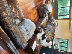 The Life of Riley Premium Natural Icelandic Sheepskins Review