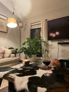 eCowhides Black and White Calf Hides Review