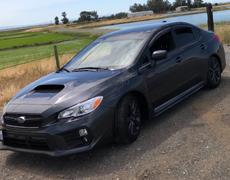 New Provisions Racing Racecomp Engineering Yellow Lowering Springs  - 15-20 WRX Review