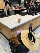 Brixton Jo Straw Rancher Hat - Natural Review