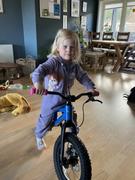 Prevelo Bikes Zulu One Review