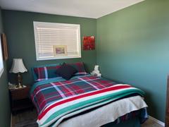 QE Home Organic Cotton Flannel Duvet Cover Set - Fergus Review