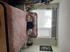 QE Home Renae Quilt Set Review
