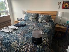 QE Home Kindred Cotton Quilt Set Review