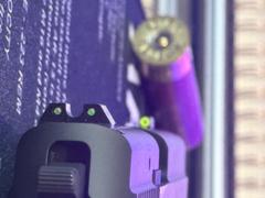 Night Fision NIGHT FISION TRITIUM NIGHT SIGHTS FOR SIG SAUER Review