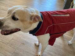 Paw Roll All-Purpose Reflective Quilted Dog Jacket Review